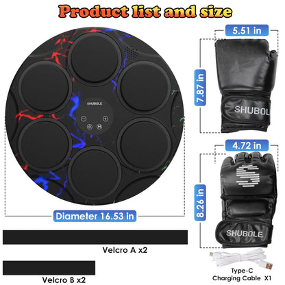 SHUBOLE Wall-Mounted Music Boxing Trainer with Gloves - 9-Speed Punching Game for Adults and Kids, Upgraded 2025 Gift for Ages 6 and Up